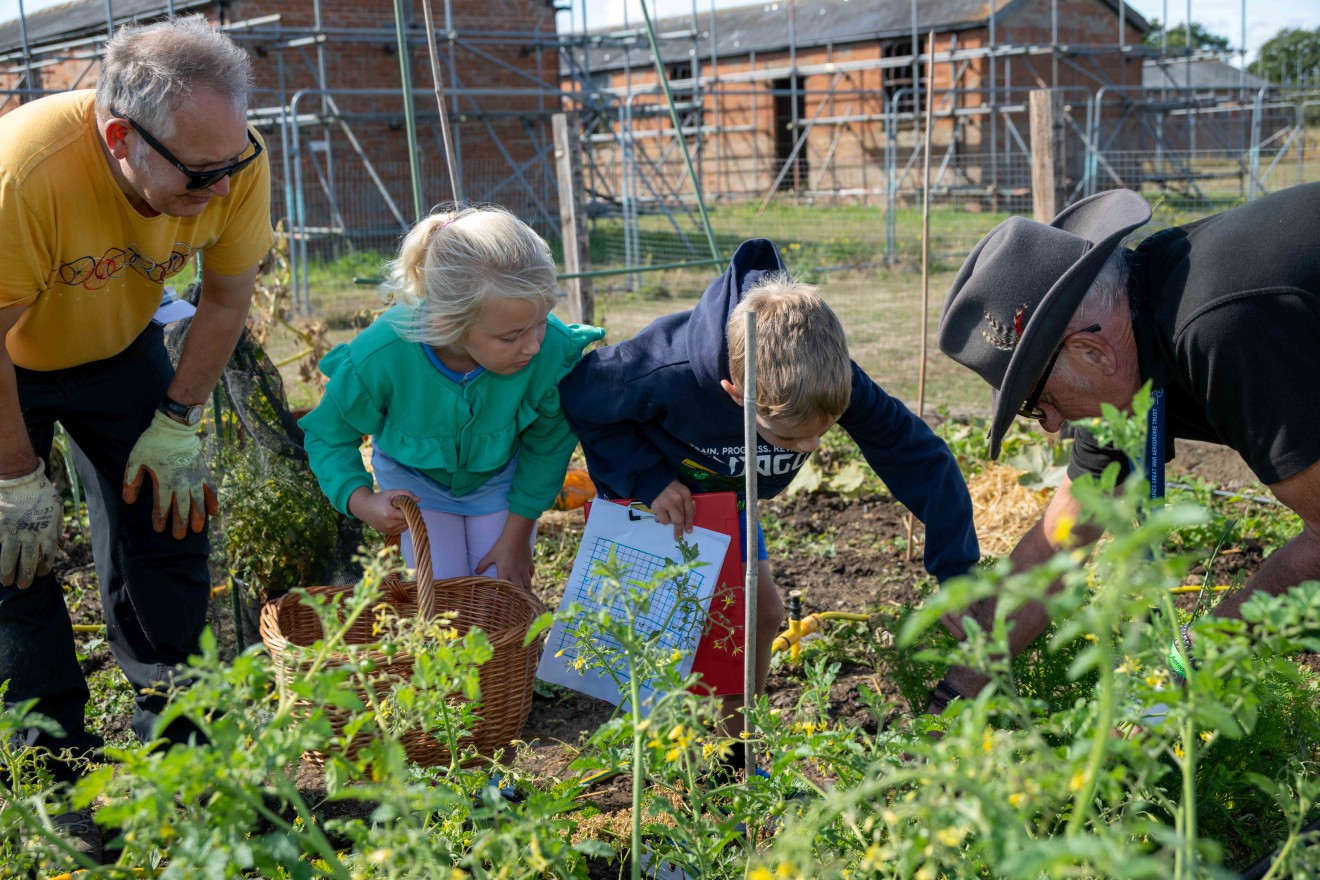 Digging for victory in the Stow WW2 Allotment
