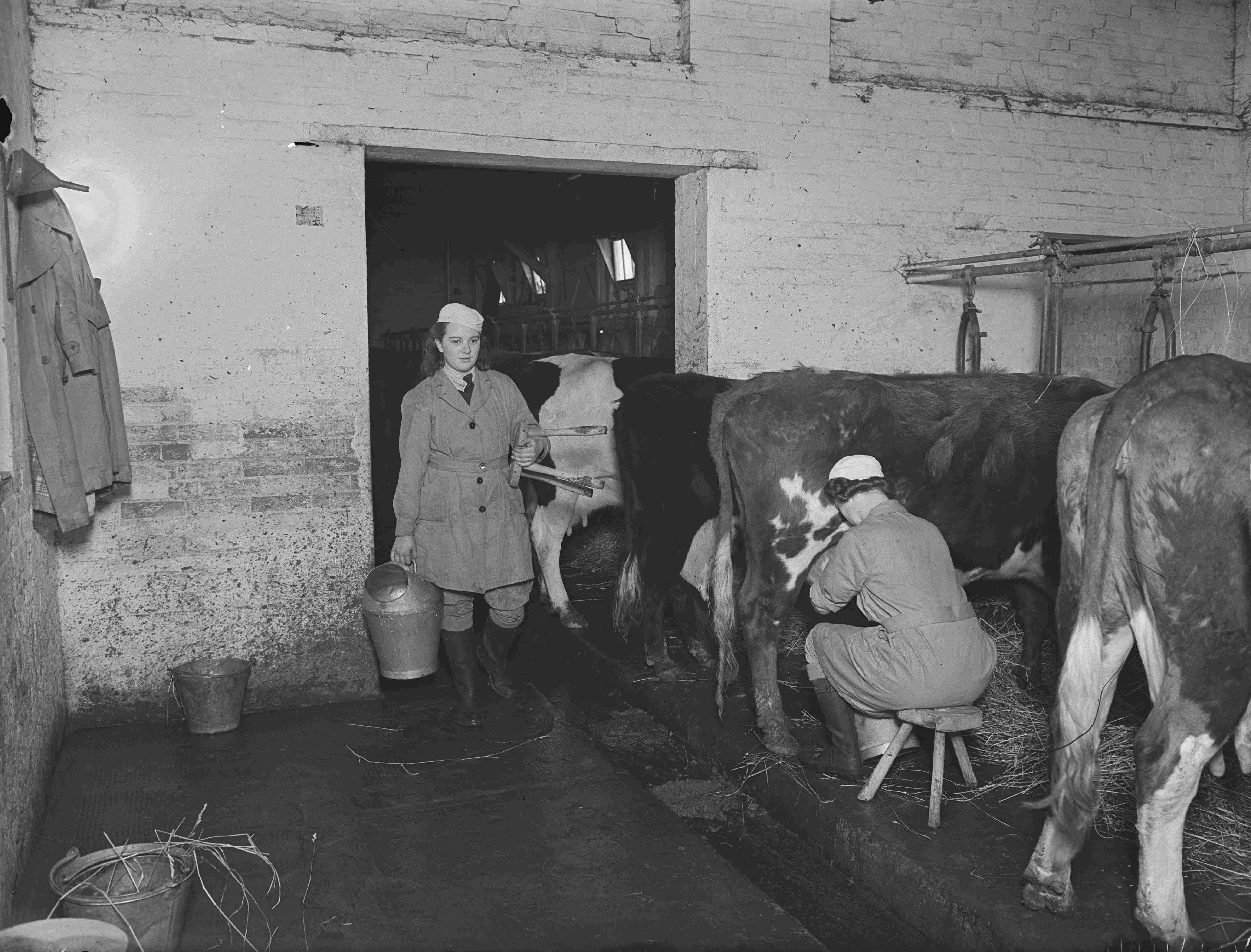 21    June    Women's    Land    Army    volunteers    in    WW2    MUST    CREDIT    MERL